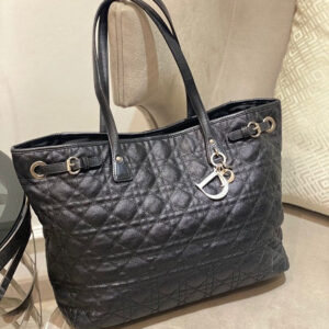 Christian Dior Black Panarea Bag
