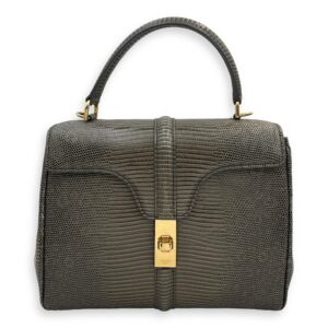 Small 16 Bag 23x18x10cm Grey Top Handle Bag in Water Monitor Lizard, Gold hardware