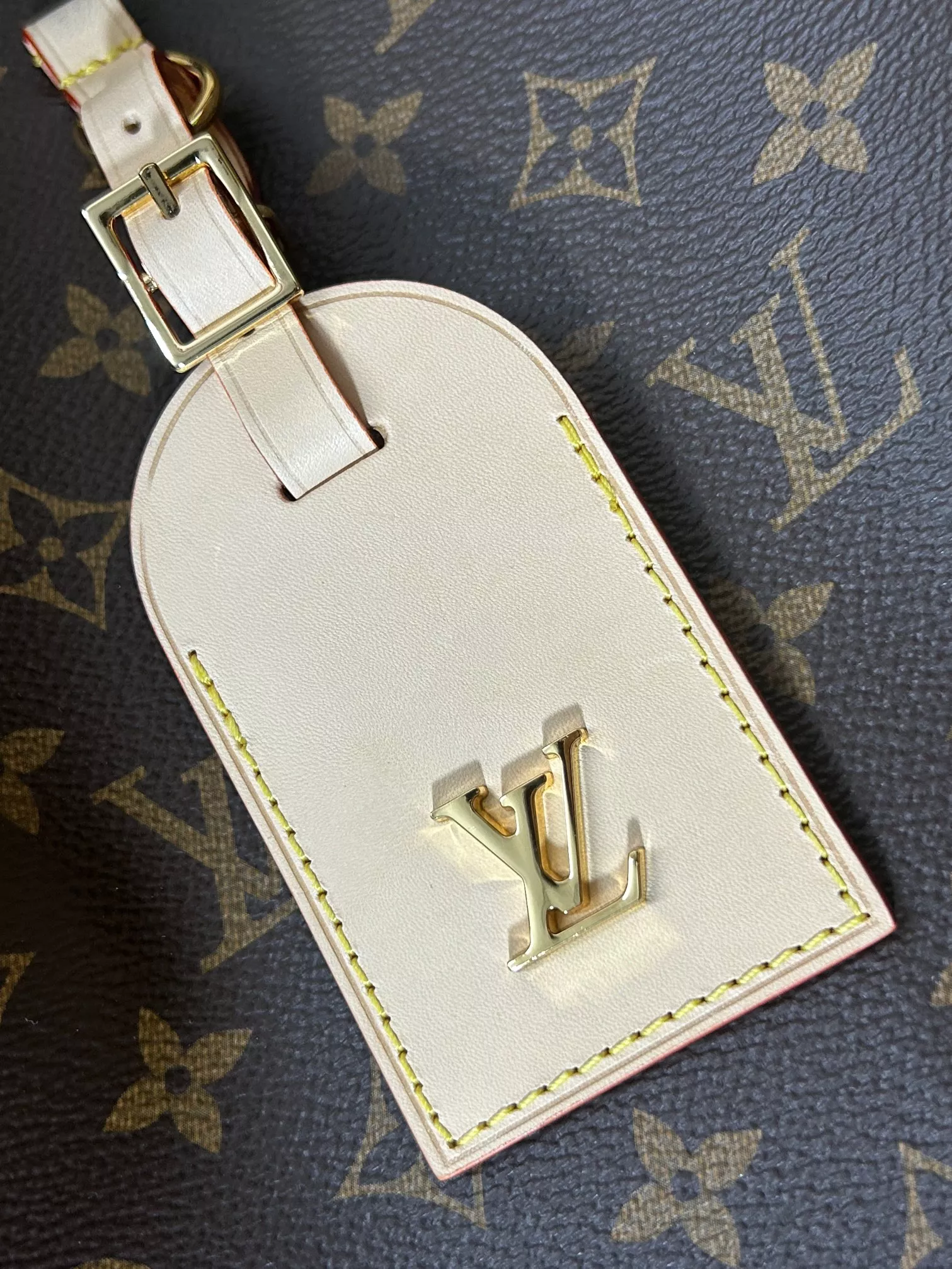 Louis Vuitton Atlantis GM in Coated Canvas with Gold-tone - Image 10