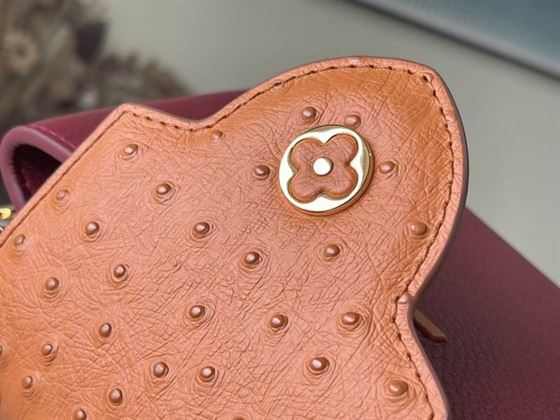 Capucines Mini handbag Griotte Red Honey - LB038 - Image 8