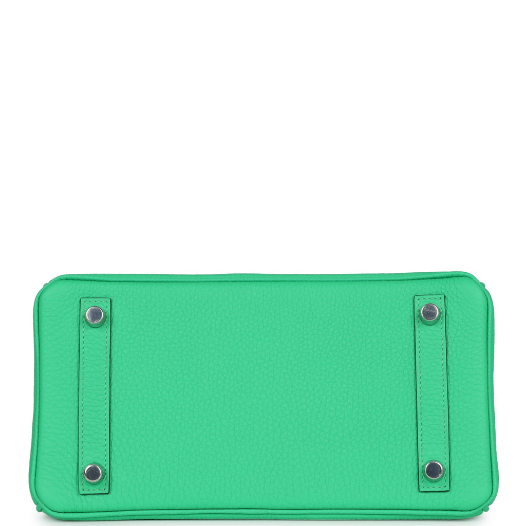 Hermes Birkin 25 Vert Comics Togo and Matte Alligator Touch Palladium Hardware - Image 7