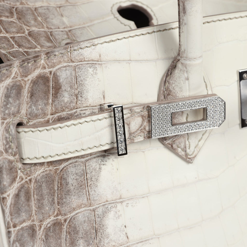 Hermes Birkin 25 Himalaya Niloticus Crocodile Diamond Encrusted Palladium Hardware - Image 9