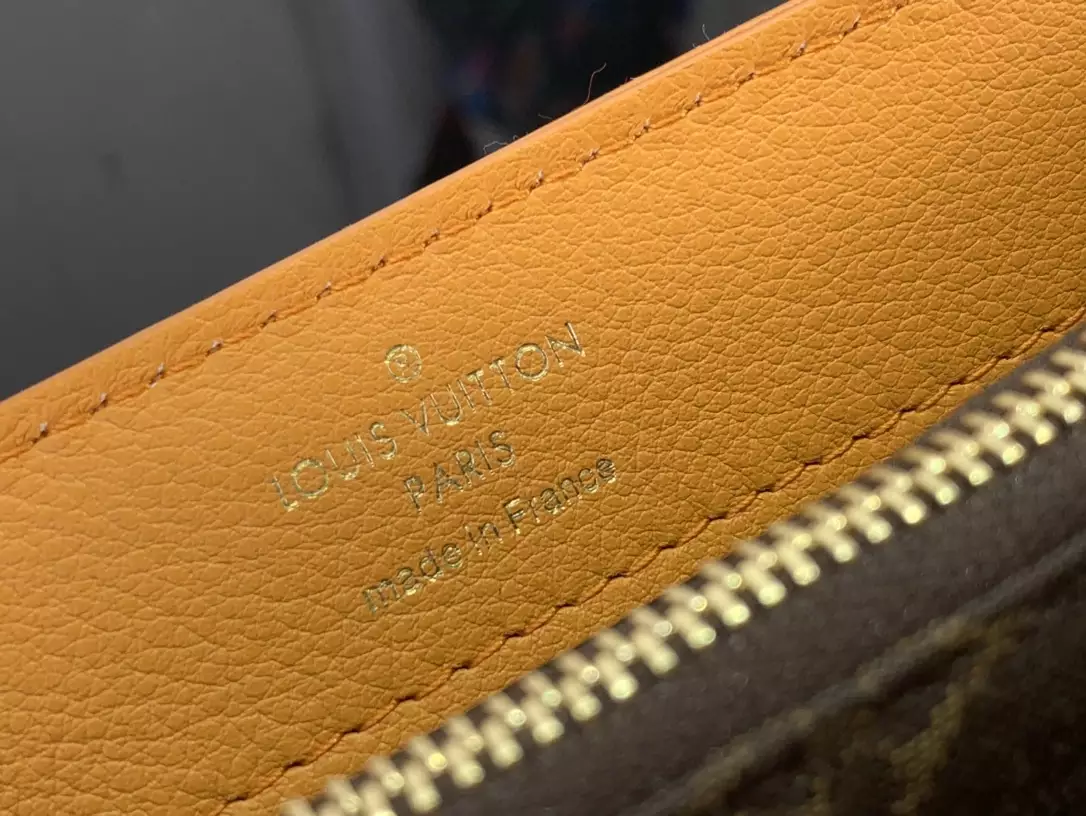 LV Dauphine Soft MM Orange Calfskin - Repbags.ru - Image 11