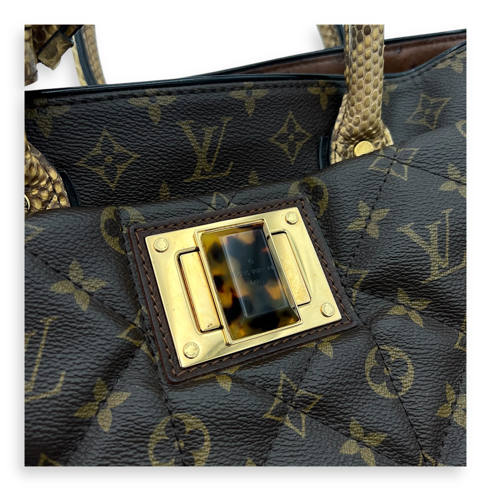 Etoile Exotique Top Handle Bag GM Brown in Monogram Coated Canvas, Gold hardware - Image 8