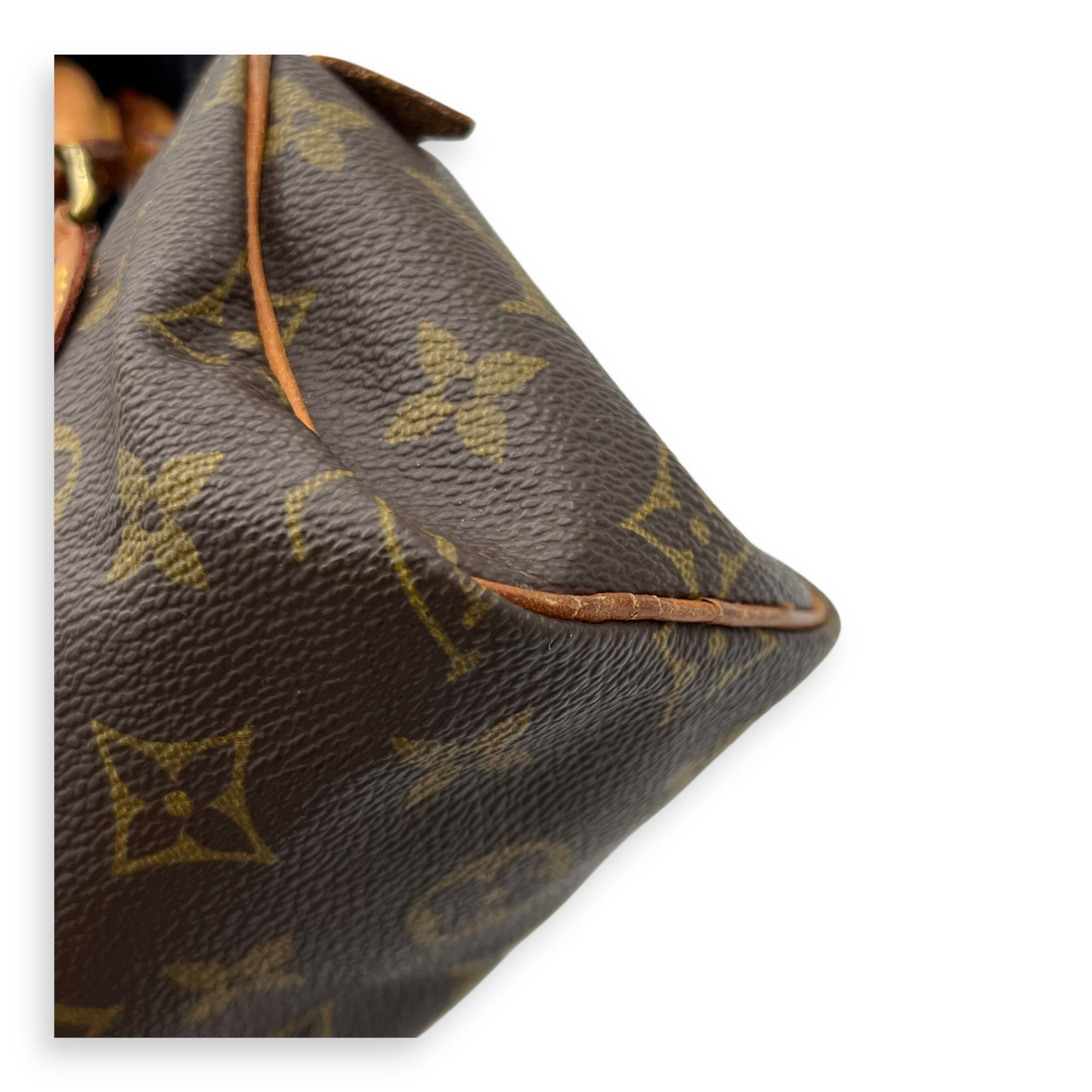 Speedy Crossbody Bag Brown in Monogram Coated Canvas, Gold hardware - Image 9