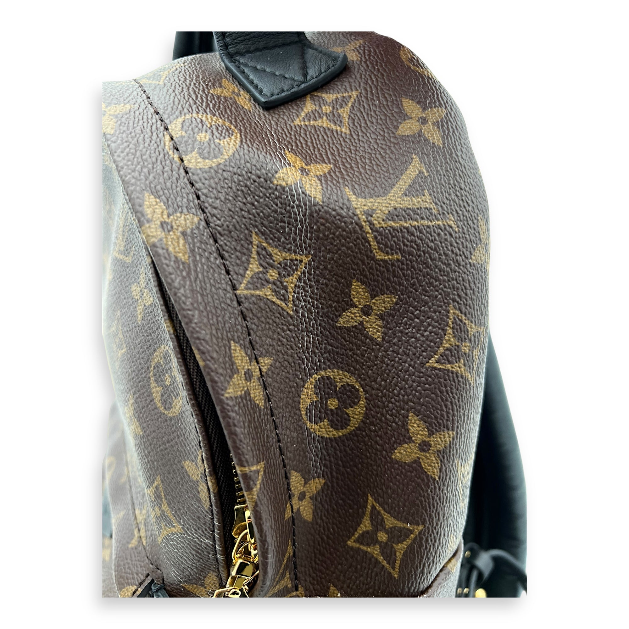 Palm Springs PM Brown Backpack in Monogram Coated Canvas, Gold hardware - Image 11