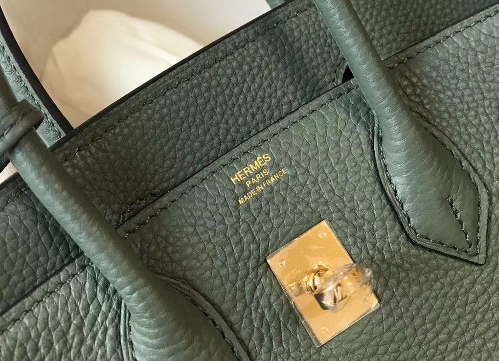 Hermes Birkin 25cm Bag In Vert Amande Clemence Leather GHW - Image 5