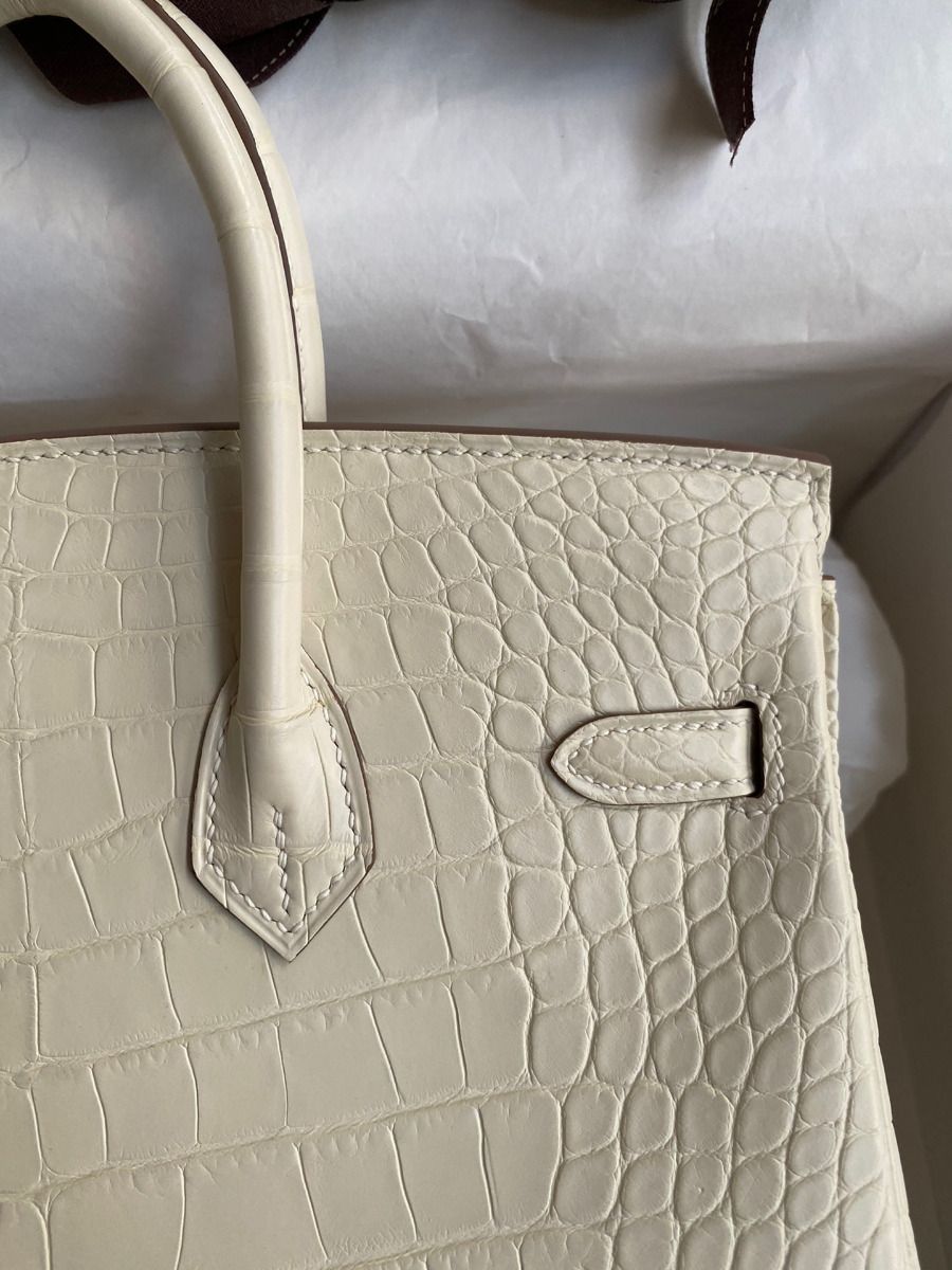 Hermes Birkin 25 Retourne Handmade Bag In Nata Matte Alligator Leather - Image 5