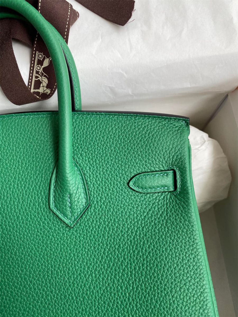 Hermes Birkin 25 Retourne Handmade Bag In Vert Vertigo Clemence Leather - Image 5