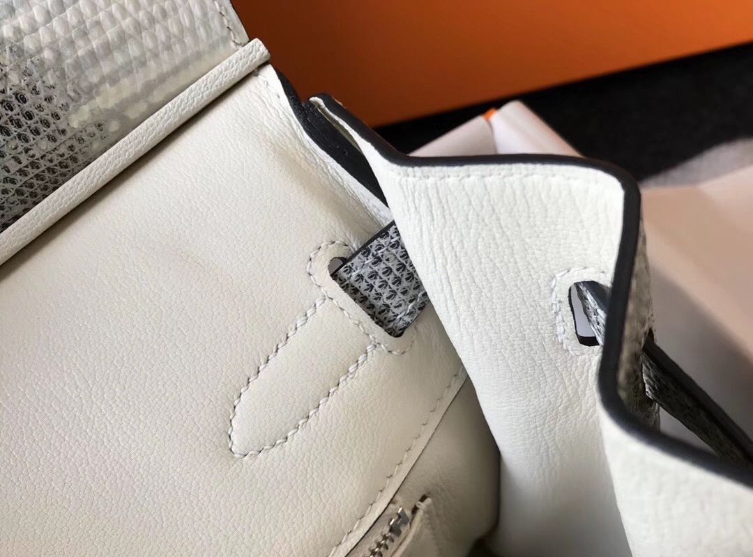 Hermes Birkin 25cm Bag In Ombre Embossed Natural Lizard - Image 8