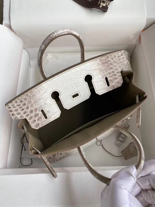 Hermes Diamond Birkin 25cm In Himalaya Niloticus Crocodile Skin - Image 8