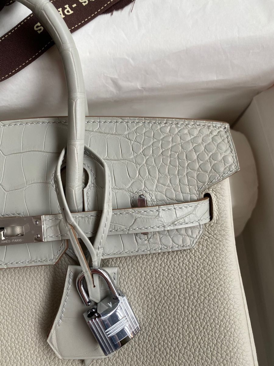 Hermes Touch Birkin 25 Bag in Pearl Grey Togo and Matte Alligator Leather - Image 4